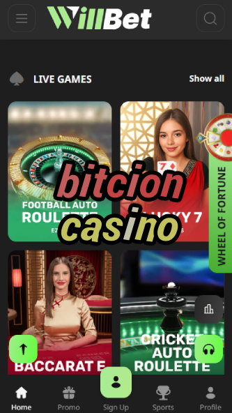 Bitcion Casino - Top Bitcoin Casino-casinodogs.ydblkf.net